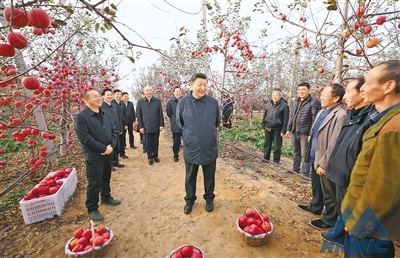 習近平在陜西延安和河南安陽考察時強調 全面推進鄉(xiāng)村振興 為實現(xiàn)農業(yè)農村現(xiàn)代化而不懈奮斗 丁薛祥陪同考察